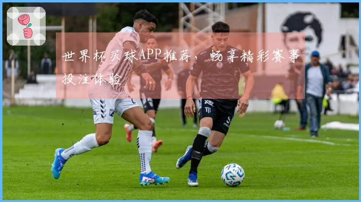 世界杯买球APP推荐，畅享精彩赛事投注体验