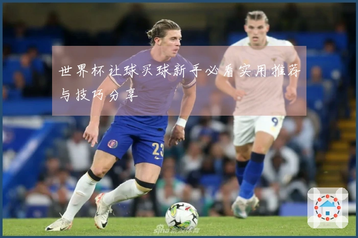 世界杯让球买球新手必看实用推荐与技巧分享
