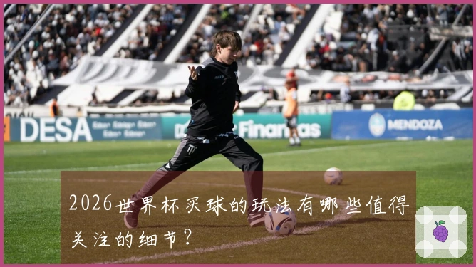 2026世界杯买球的玩法有哪些值得关注的细节？