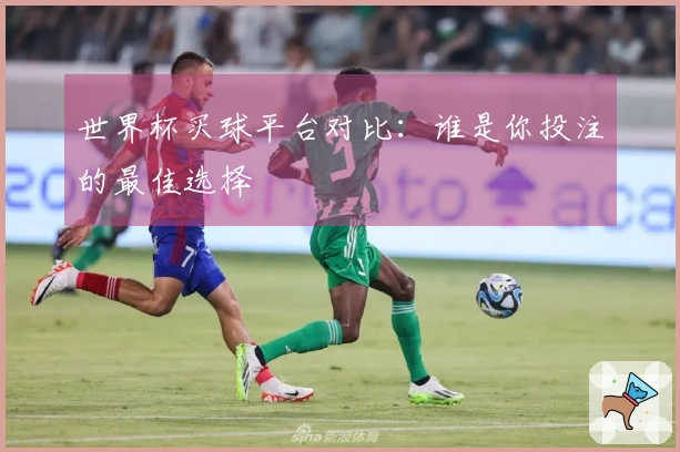 世界杯买球平台对比：谁是你投注的最佳选择