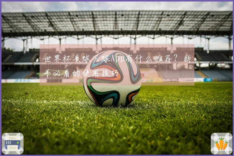 世界杯滚球买球App有什么推荐？新手必看的使用技巧