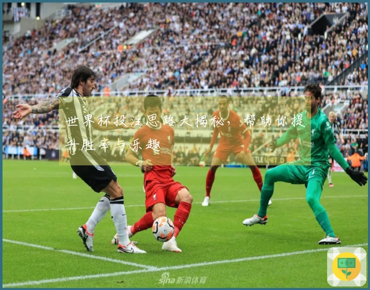 世界杯投注思路大揭秘，帮助你提升胜率与乐趣