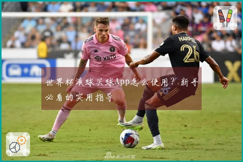 世界杯滚球买球App怎么使用？新手必看的实用指导