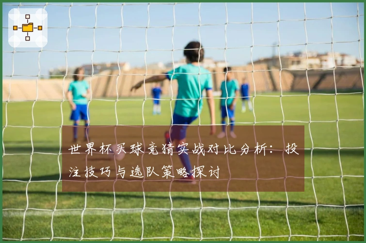 世界杯买球竞猜实战对比分析：投注技巧与选队策略探讨
