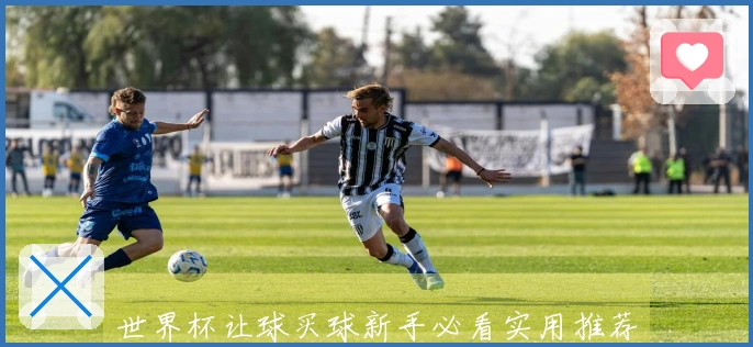 世界杯让球买球新手必看实用推荐与技巧分享