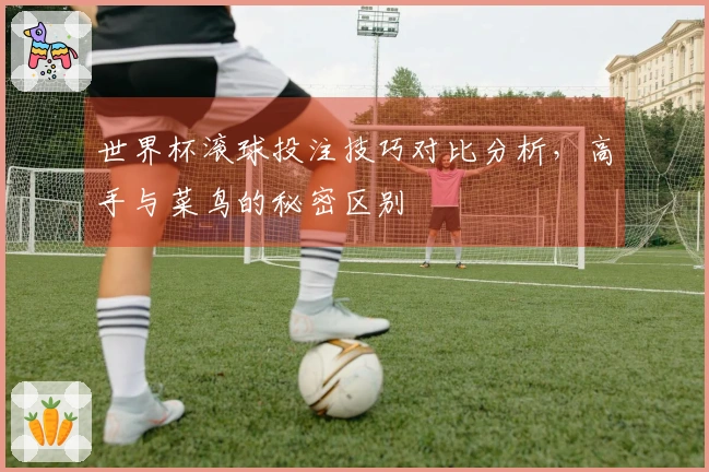 世界杯滚球投注技巧对比分析，高手与菜鸟的秘密区别