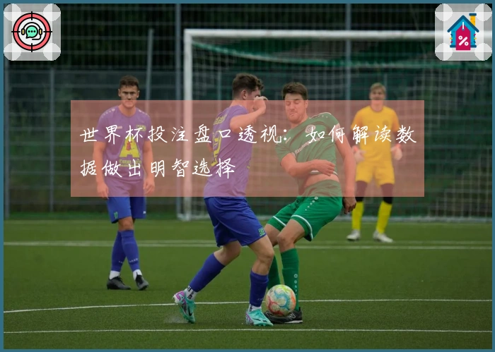世界杯投注盘口透视：如何解读数据做出明智选择