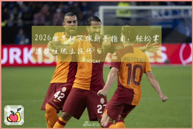 2026世界杯买球新手指南，轻松掌握投注玩法技巧