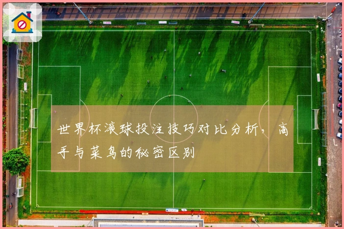 世界杯滚球投注技巧对比分析，高手与菜鸟的秘密区别
