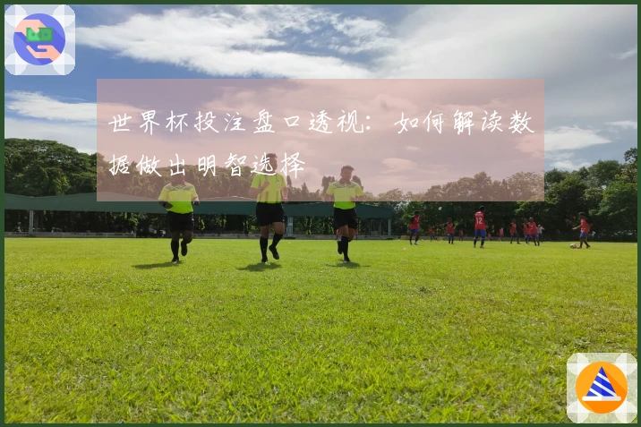 世界杯投注盘口透视：如何解读数据做出明智选择