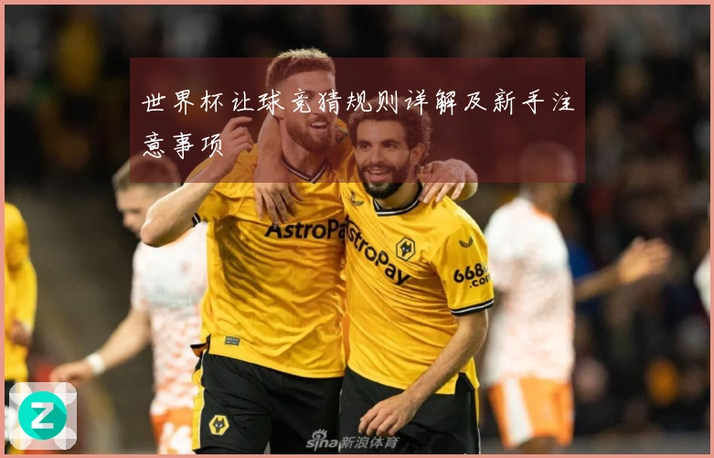 世界杯让球竞猜规则详解及新手注意事项